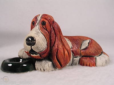 Bassethound w/Dish