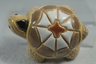 Galapagos Turtle Baby Top