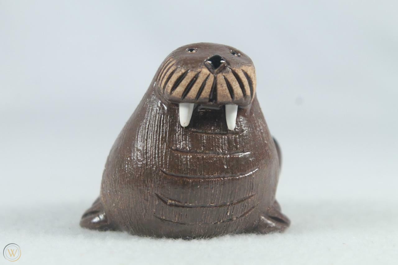 Baby Walrus