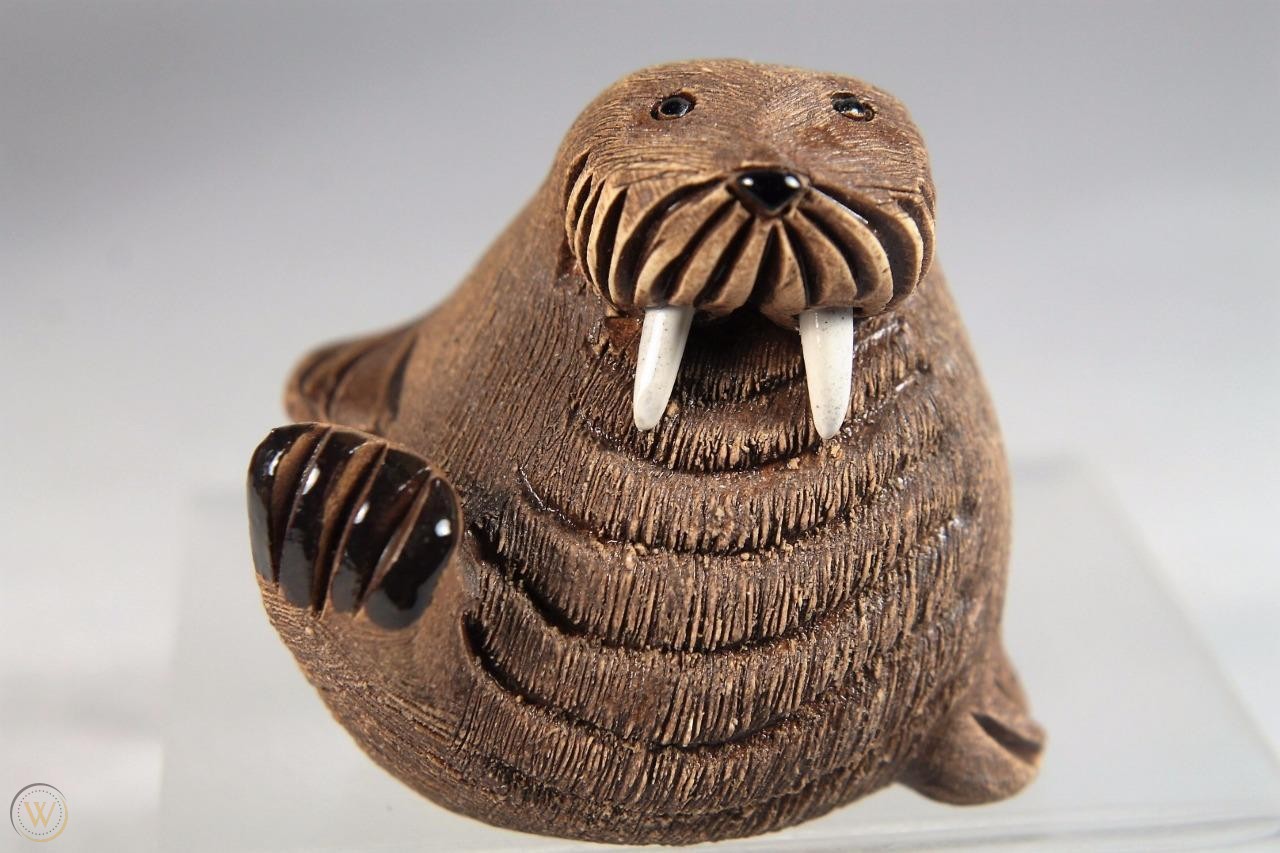 Baby Walrus