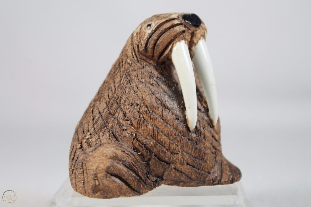 Walrus New