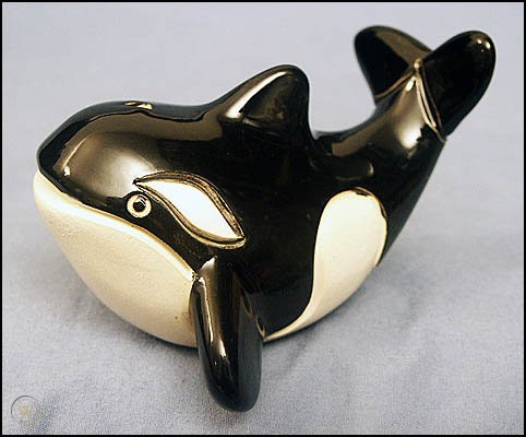 Baby Killer Whale