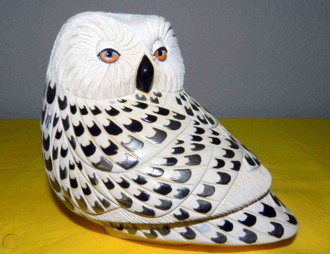 Snowy Owl without Book