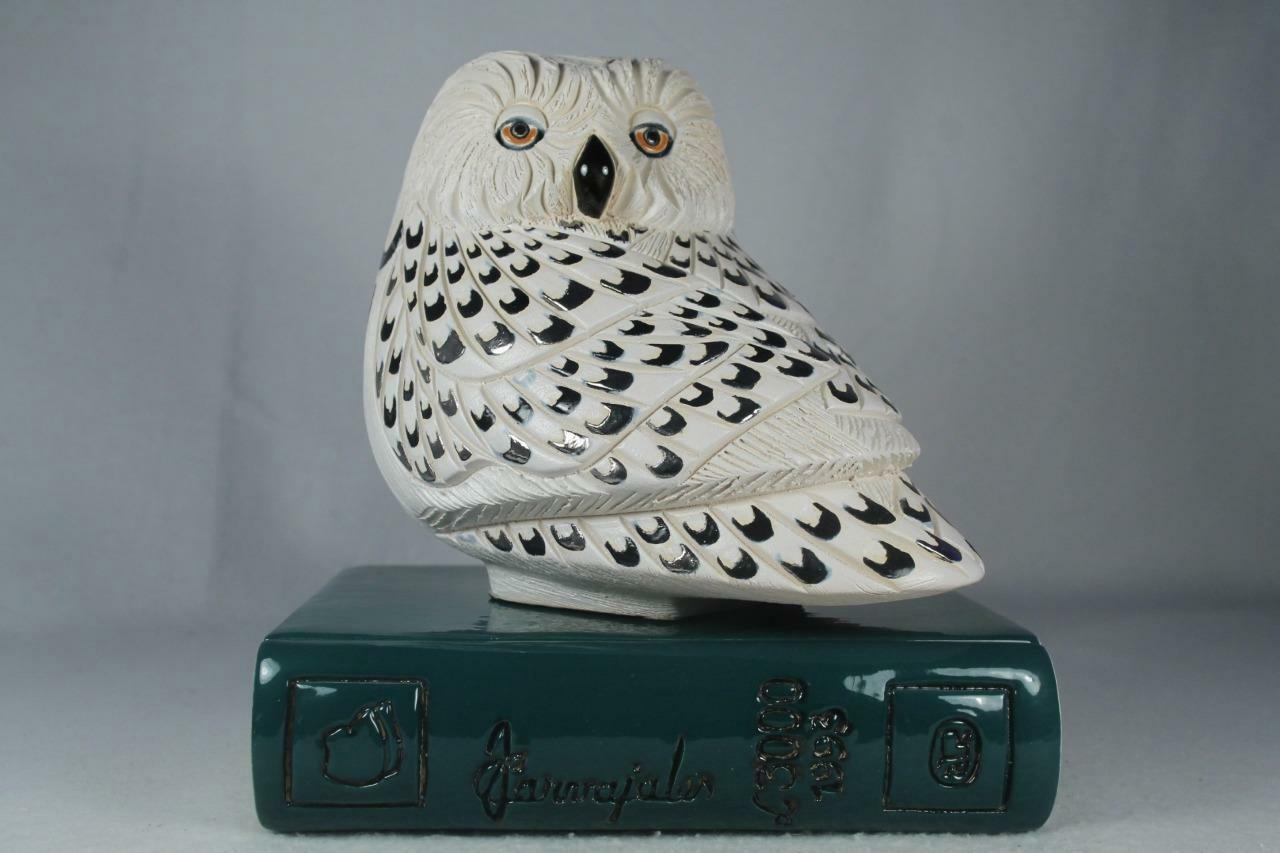 Snowy Owl on Book